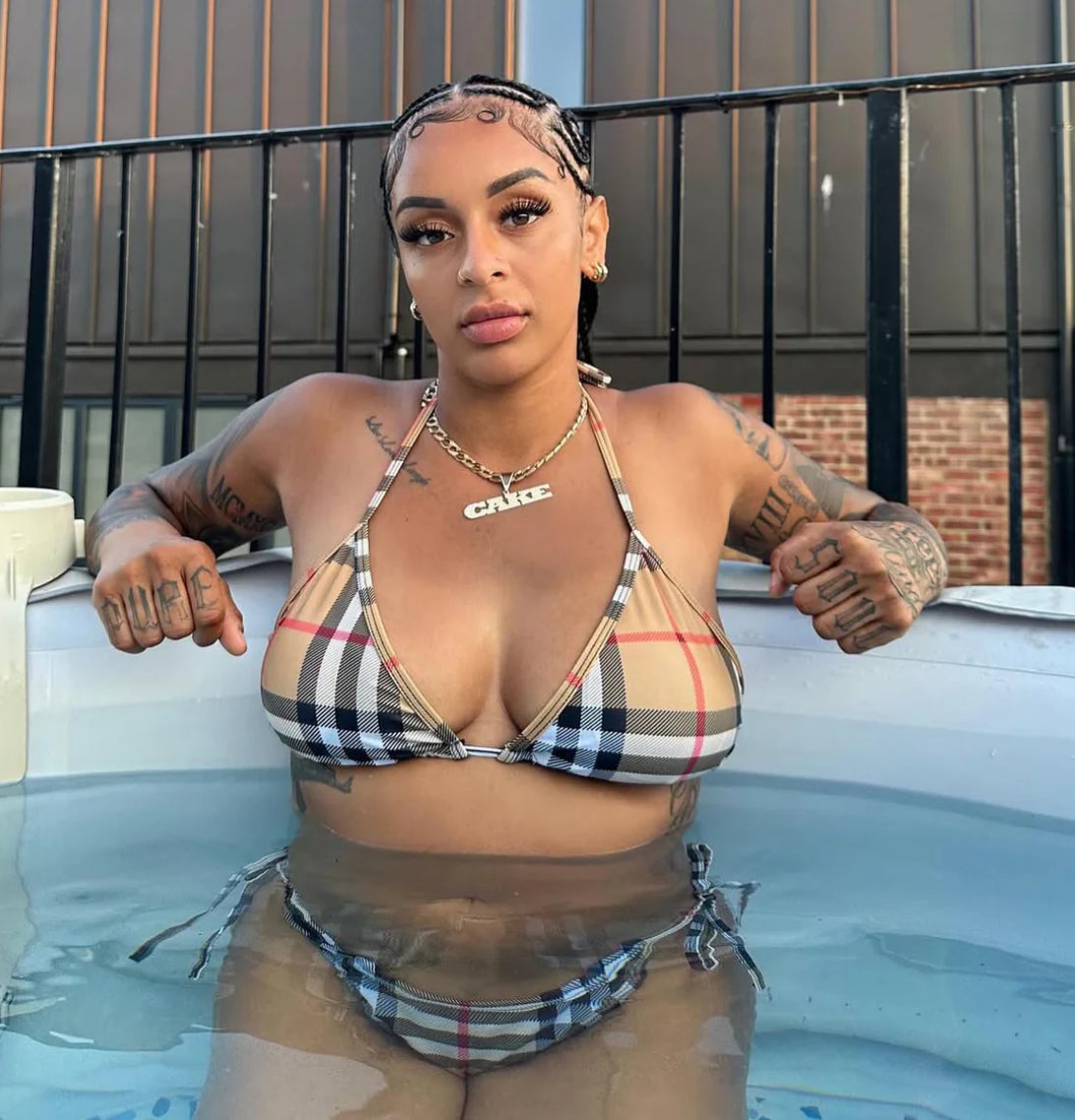 Brown Stripes Bikini